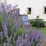 Plesivecka 119 Guest house 3*