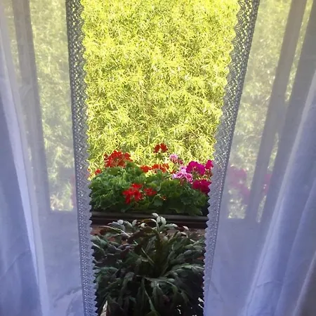 플레쉬베츠카 119 3*