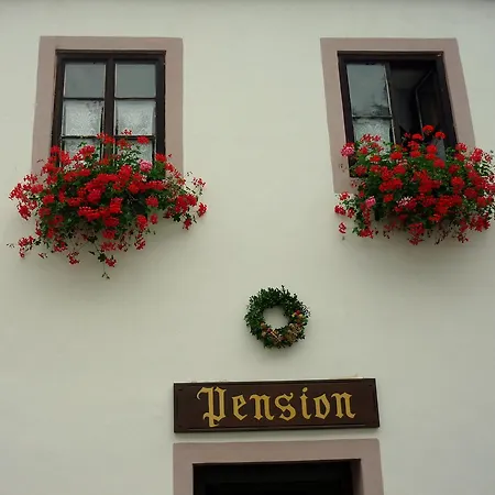 플레쉬베츠카 119