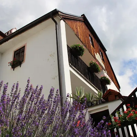 Plesivecka 119 Guest house Cesky Krumlov