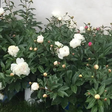 Plesivecka 119 Cesky Krumlov