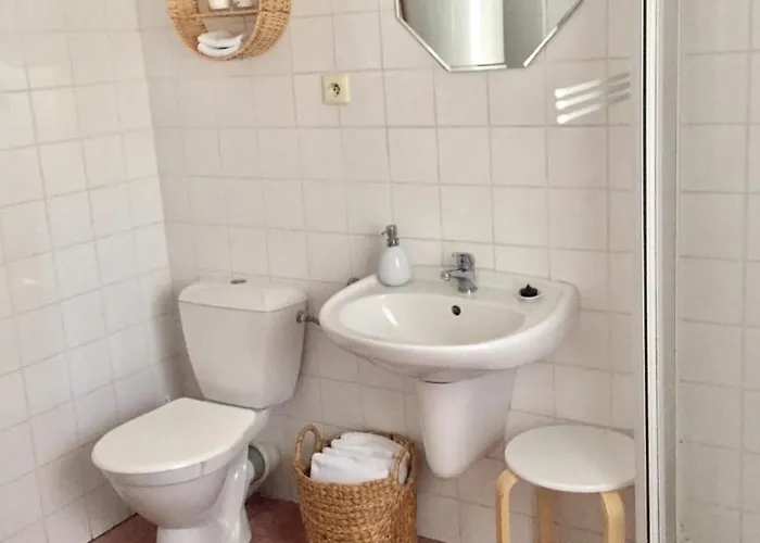 플레쉬베츠카 119 3*