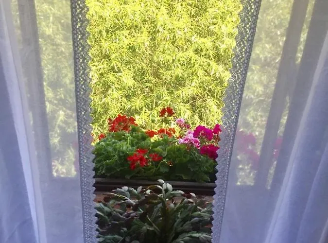 플레쉬베츠카 119 3*