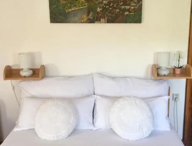 플레쉬베츠카 119 체스키크룸로프