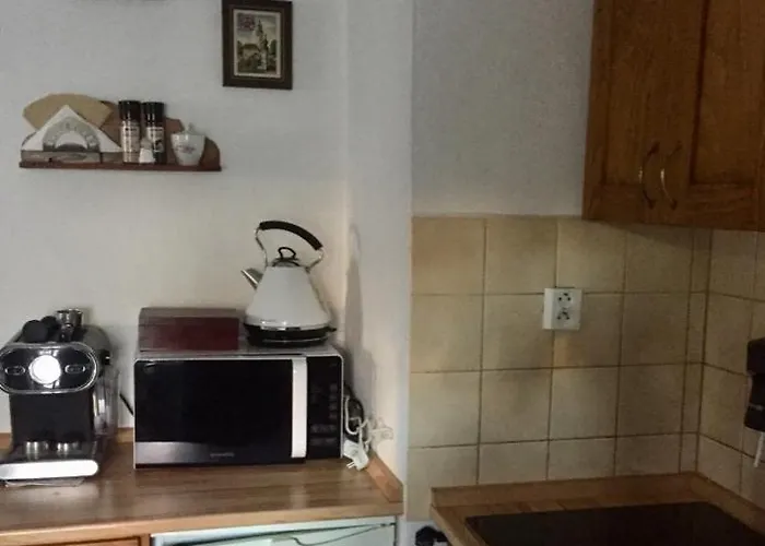 플레쉬베츠카 119 게스트하우스 3*