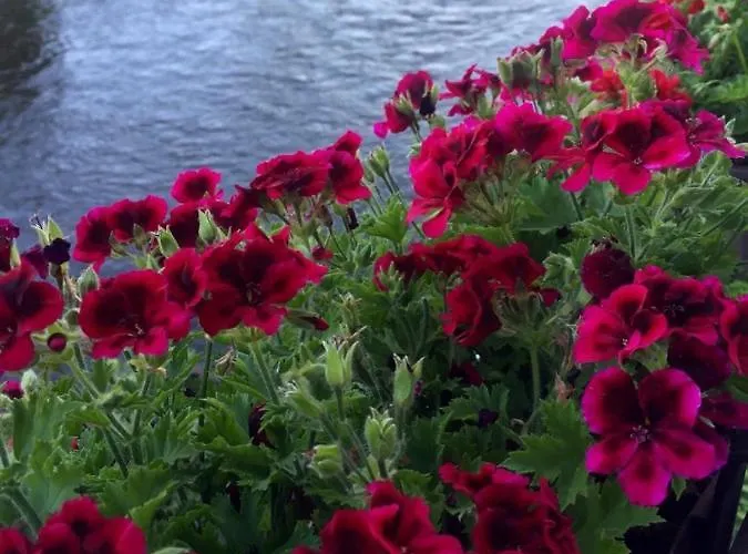 Plešivecká 119 Casa de hóspedes