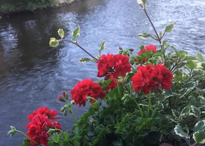 Plešivecká 119 Casa de hóspedes