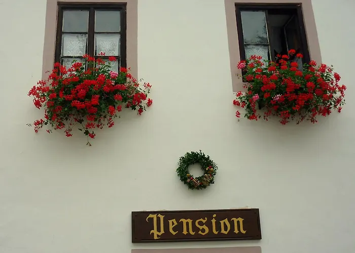 플레쉬베츠카 119