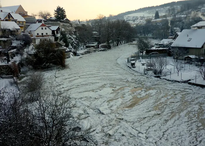 게스트하우스 플레쉬베츠카 119 3*