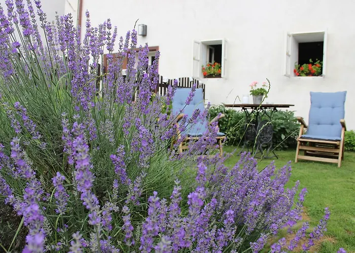 Plešivecká 119 Casa de hóspedes 3*