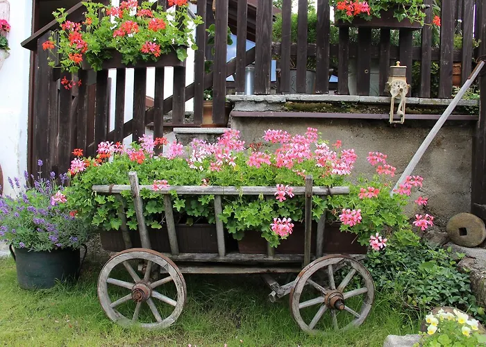 Plešivecká 119 3* Český Krumlov