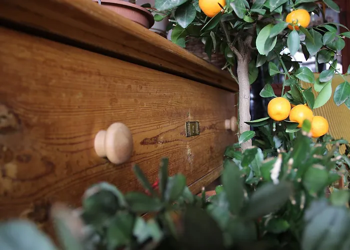 플레쉬베츠카 119 게스트하우스 체스키크룸로프