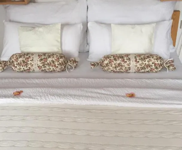 Plešivecká 119 Casa de hóspedes 3*