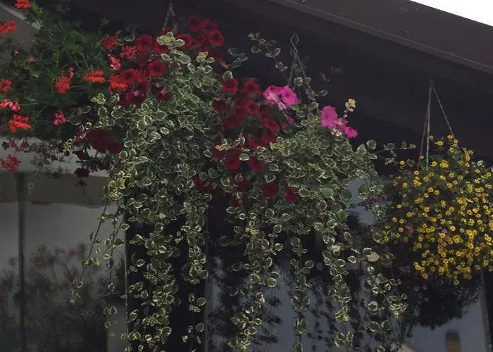 Casa de hóspedes Plešivecká 119