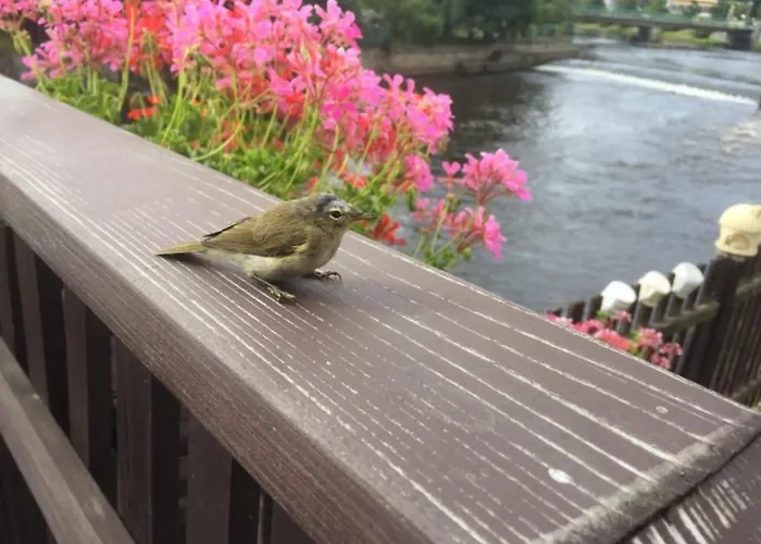 플레쉬베츠카 119 체스키크룸로프